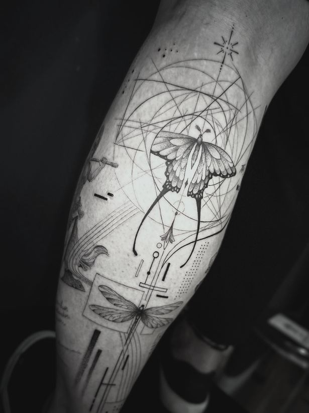 Butterfly, dragonfly and geometry
