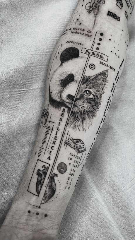Panda and cat, split portrait